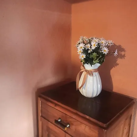 Il Vento Tra Le Margherite * Roccamontepiano