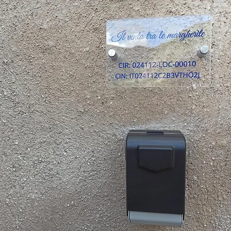 Il Vento Tra Le Margherite * Roccamontepiano