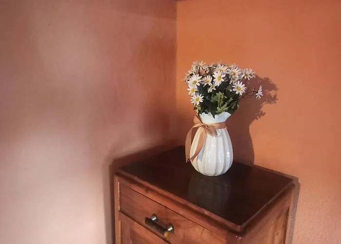 Il Vento Tra Le Margherite * Roccamontepiano